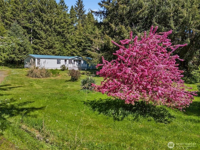 6933 State Route 101, South Bend, WA 98586 - photo 3