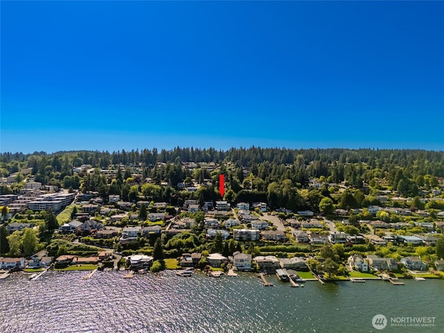 3911 NE 158th Ln, Lake Forest Park, WA 98155 - aerial perspective of suburban area with a large body of water and a forest