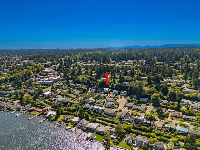 3911 NE 158th Ln, Lake Forest Park, WA 98155 - aerial view of residential area featuring a forest and a mountain backdrop