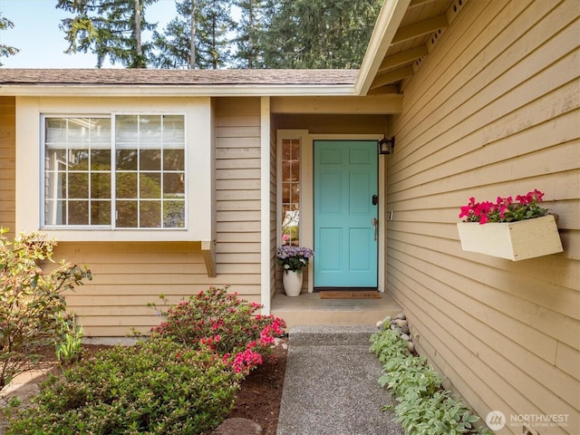 view of exterior entry featuring a shingled roof