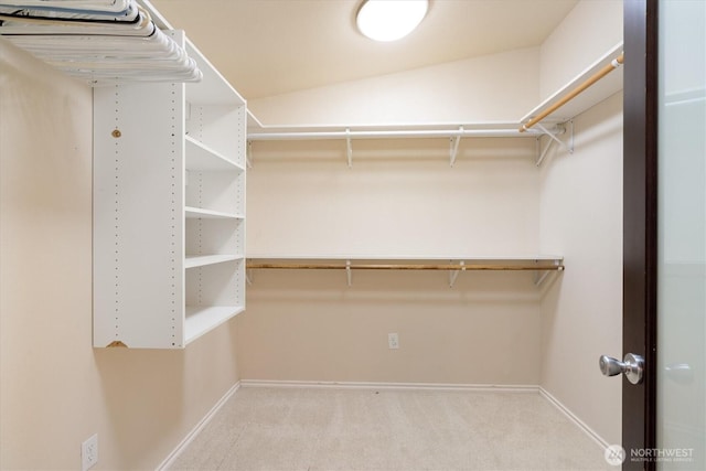 spacious closet with carpet