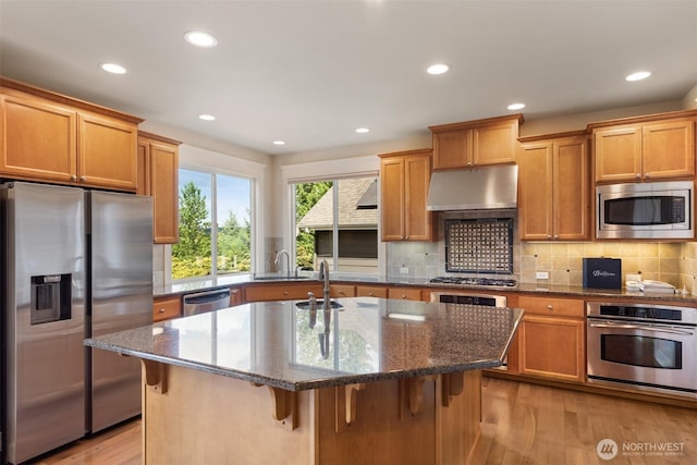 kitchen with a sink, light wood-style floors, under cabinet range hood, appliances with stainless steel finishes, and recessed lighting