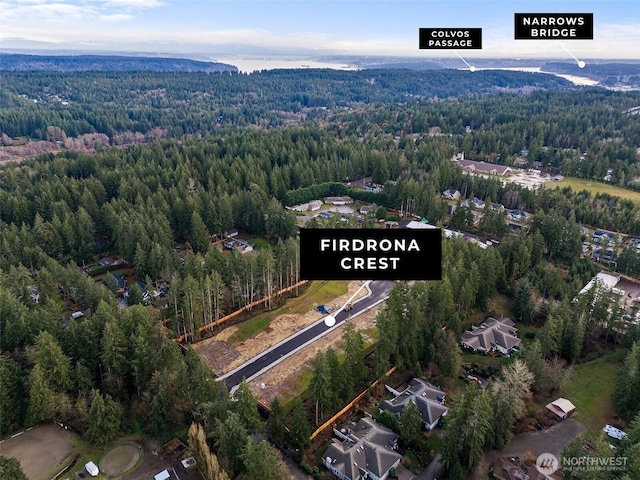 12507 40th Ave NW, Gig Harbor, WA 98332 - bird's eye view featuring a view of trees