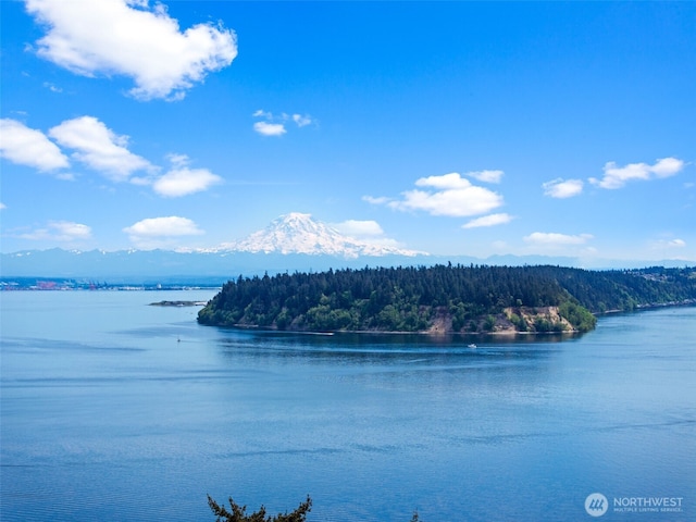 8409 24th Ave NW, Gig Harbor, WA 98332 - photo 4