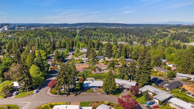 aerial perspective of suburban area with a forest