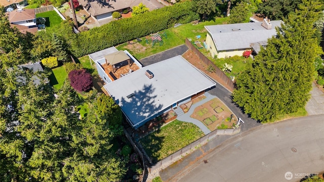 bird's eye view