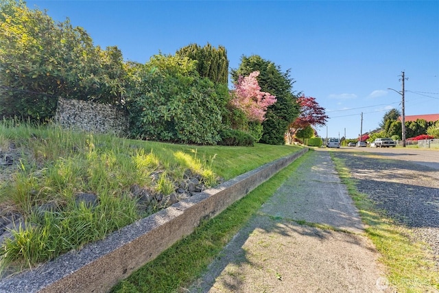 1203 Tower Ave, Raymond, WA 98577 - view of road with street lights