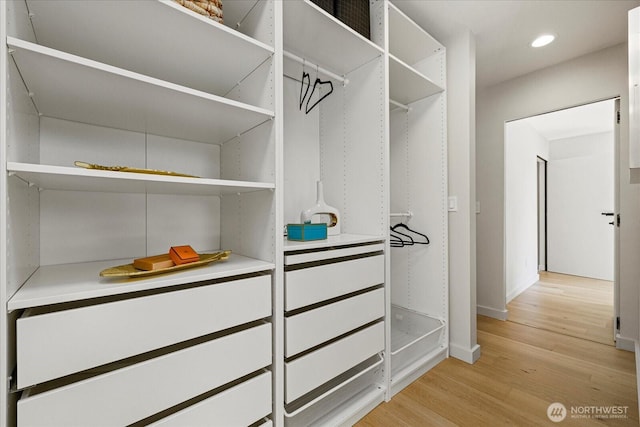 spacious closet with light wood-type flooring