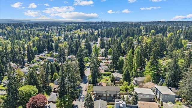 drone / aerial view of a heavily wooded area and a mountainous background