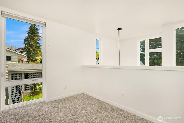 518 NW Bright St, Seattle, WA 98107 - photo 7