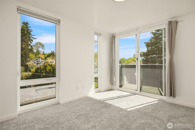 518 NW Bright St, Seattle, WA 98107 - photo 6