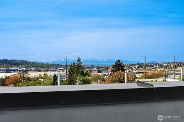 518 NW Bright St, Seattle, WA 98107 - photo 13