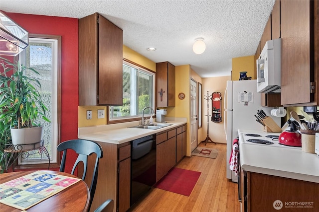 kitchen featuring white appliances, a sink, light countertops, light wood-style flooring, and a textured ceiling