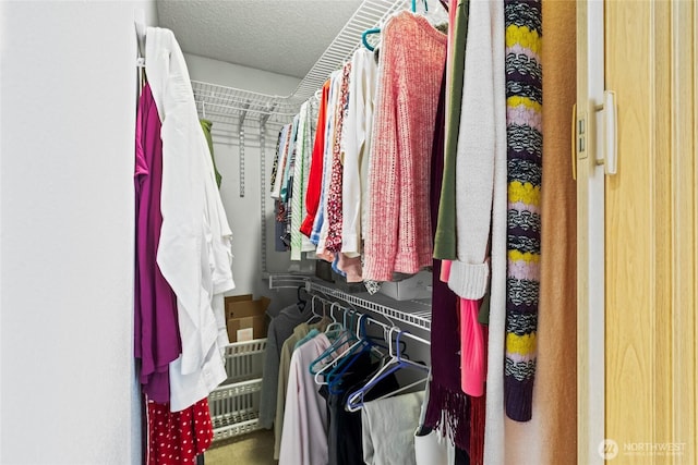 view of walk in closet
