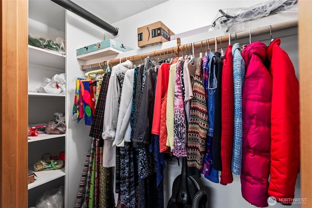 view of walk in closet