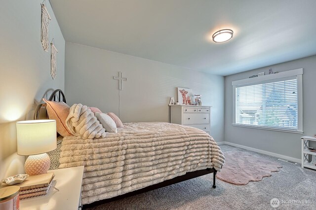 1827 Double Ditch Ct, Lynden, WA 98264 - bedroom with carpet and baseboards