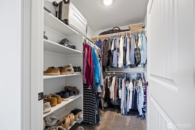 3504 Kathren Ln, Pasco, WA 99301 - walk in closet featuring carpet floors