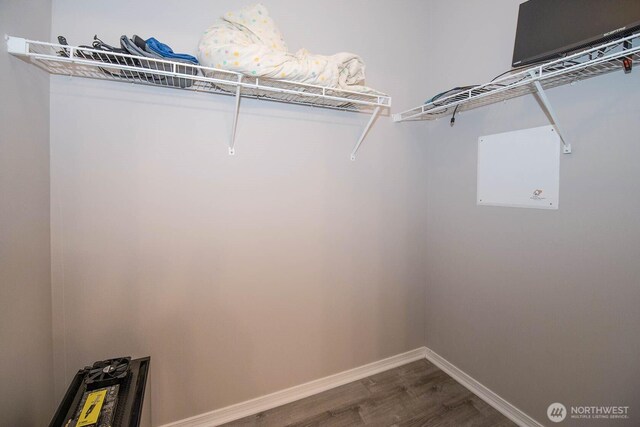 spacious closet with dark wood finished floors