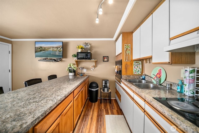 kitchen with a sink, ornamental molding, black electric stovetop, dark wood-type flooring, and white cabinetry