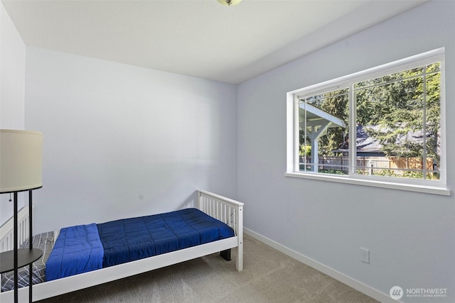 592 Kodiak Ave, Camano Island, WA 98282 - bedroom with carpet floors and baseboards