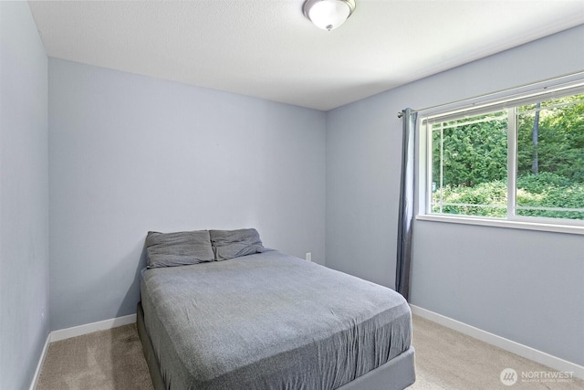 592 Kodiak Ave, Camano Island, WA 98282 - bedroom featuring light carpet and baseboards