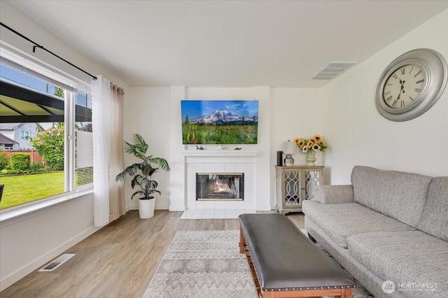 16886 Wales St SE, Monroe, WA 98272 - living area with light wood-style floors, a fireplace, and baseboards