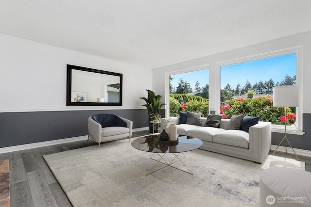 15221 42nd Ave E, Tacoma, WA 98446 - living room featuring wood finished floors, baseboards, and a textured ceiling