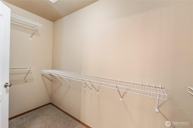 20402 98th Avenue Ct E, Graham, WA 98338 - spacious closet featuring carpet flooring