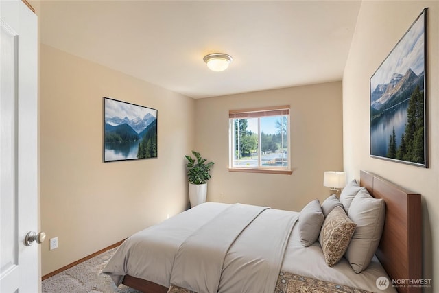 20402 98th Avenue Ct E, Graham, WA 98338 - bedroom featuring baseboards