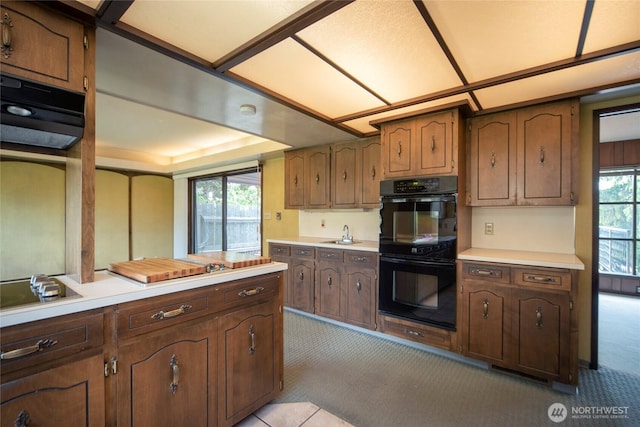 906 E 3rd Ave, Ellensburg, WA 98926 - kitchen with black appliances, carpet floors, light countertops, and a sink
