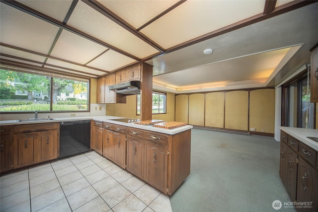906 E 3rd Ave, Ellensburg, WA 98926 - kitchen featuring black appliances, a peninsula, light countertops, and under cabinet range hood