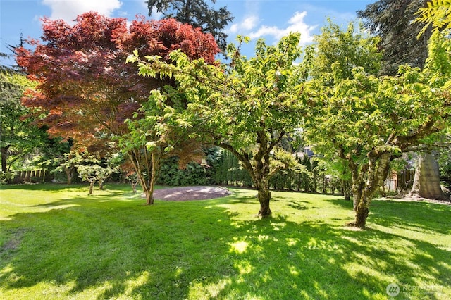 view of grassy yard