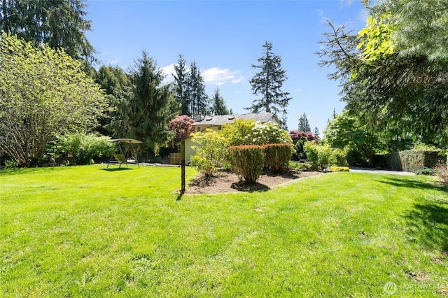 view of grassy yard