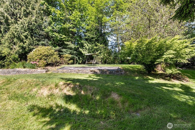 view of green lawn