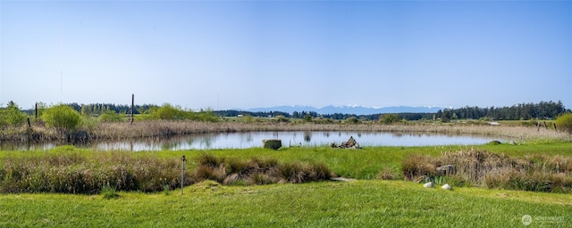 5621 Fisherman Bay Rd, Lopez Island, WA 98261 - water view