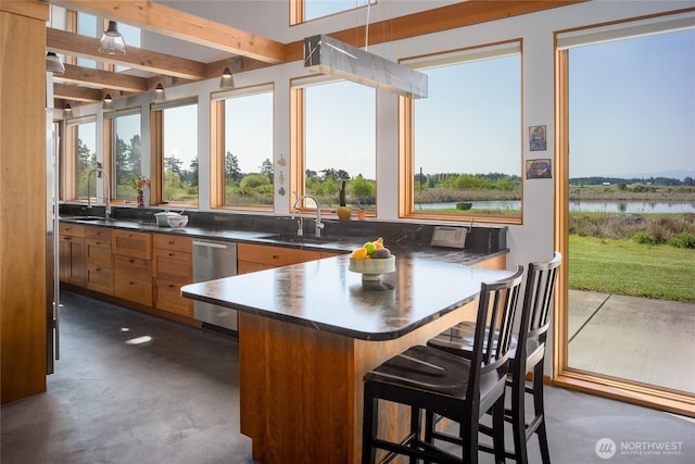 5621 Fisherman Bay Rd, Lopez Island, WA 98261 - kitchen with stainless steel dishwasher, a sink, finished concrete flooring, dark countertops, and a peninsula