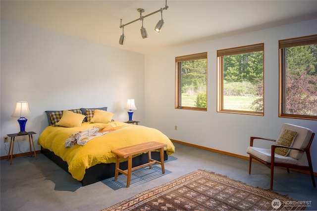 5621 Fisherman Bay Rd, Lopez Island, WA 98261 - bedroom with baseboards and carpet