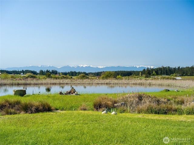 5621 Fisherman Bay Rd, Lopez Island, WA 98261 - water view with a mountain backdrop