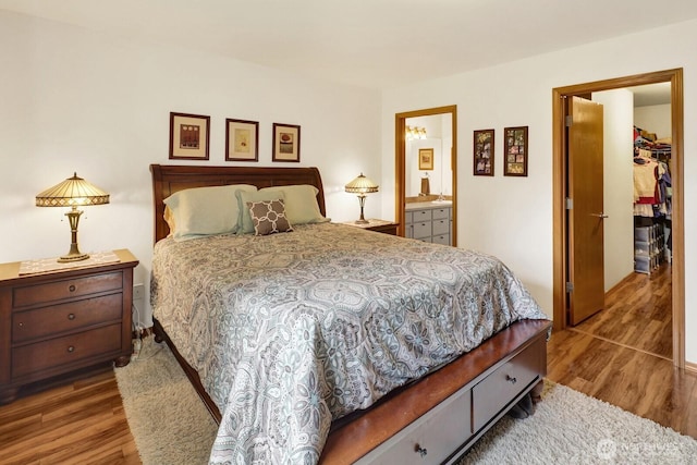bedroom with a spacious closet, a closet, and wood finished floors