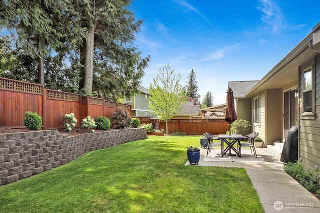 view of yard featuring a fenced backyard and a patio