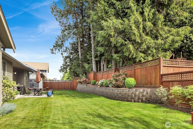 view of yard featuring a patio area and a fenced backyard