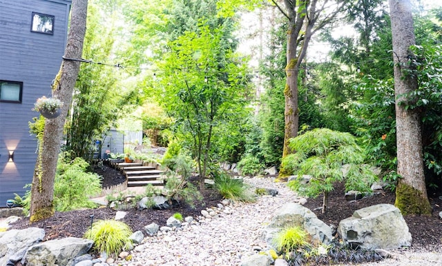 view of yard