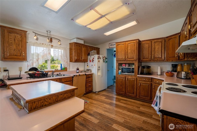 4141 Parke Crk, Ellensburg, WA 98926 - kitchen with white appliances, under cabinet range hood, lofted ceiling, dark wood-type flooring, and light countertops