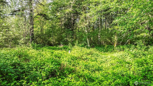 16713 124th St NW, Gig Harbor, WA 98329