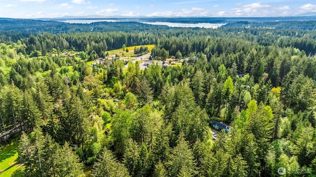 16713 124th St NW, Gig Harbor, WA 98329