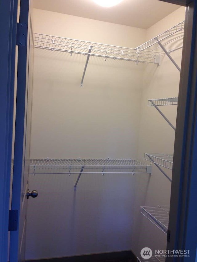 view of walk in closet