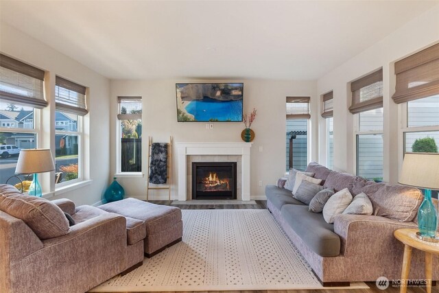 3215 64th Ln SW, Olympia, WA 98512 - living area featuring wood finished floors, baseboards, and a fireplace with flush hearth