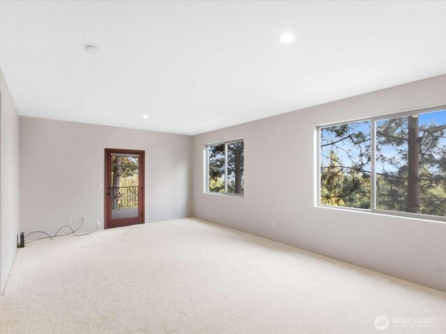 857 Tinas Coma Ln, Burlington, WA 98233 - photo 33