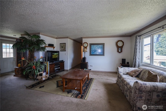 carpeted living room with a textured ceiling, ornamental molding, and healthy amount of natural light