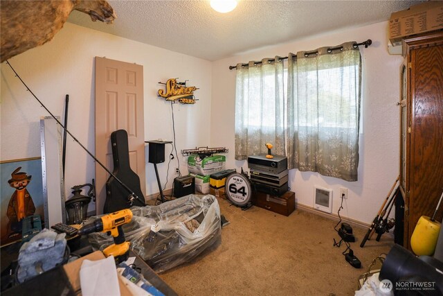 misc room with a textured ceiling and carpet flooring